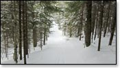 Escanaba Lake Trail Photo