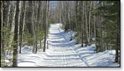 Madeline Lake Trail Photo