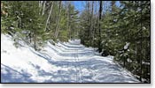 Madeline Lake Trail Photo