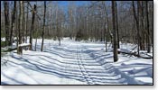 Madeline Lake Trail Photo