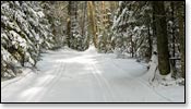 McNaughton Trail Photo