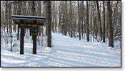 Rib Lake Trail Photo