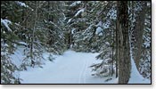 Rib Lake Trail Photo