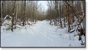 Washburn Lake Trail Photo