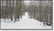 Washburn Lake Trail Photo