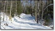 Minocqua Winter Park Trail Photo