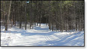 Minocqua Winter Park Trail Photo