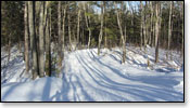 Minocqua Winter Park Trail Photo