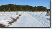 Minocqua Winter Park Trail Photo