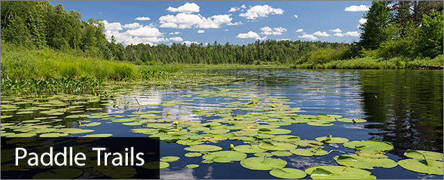 Paddle trails, image of Manitowish River