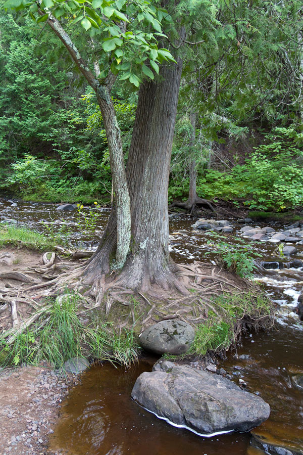 Amnicon Falls State Park Image