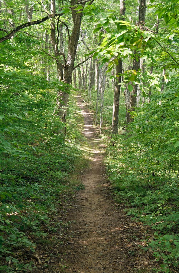 Chippewa Moraine State Recreation Area, Circle Trail Image