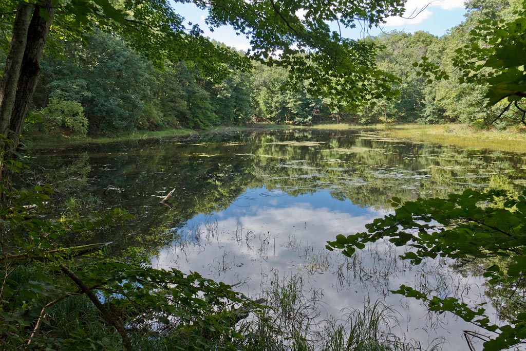 Chippewa Moraine State Recreation Area, Circle Trail Image