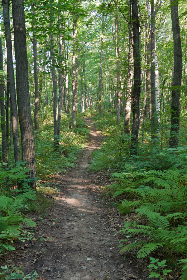 Chippewa Moraine State Recreation Area, Circle Trail Image