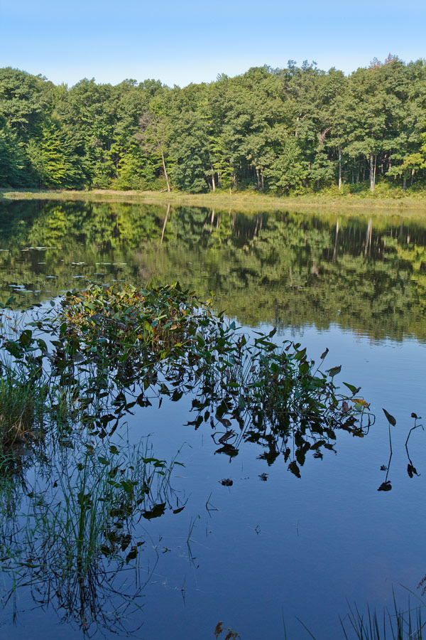 Chippewa Moraine State Recreation Area, Circle Trail Image