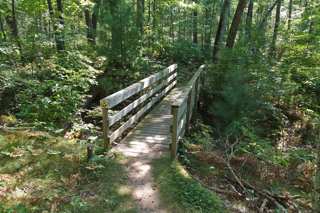 Chippewa Moraine State Recreation Area, Circle Trail Image