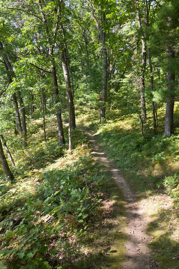 Chippewa Moraine State Recreation Area, Circle Trail Image