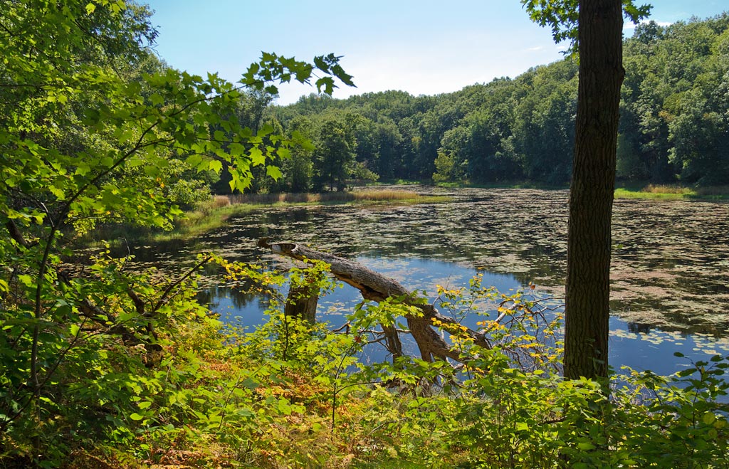 Chippewa Moraine State Recreation Area, Circle Trail Image