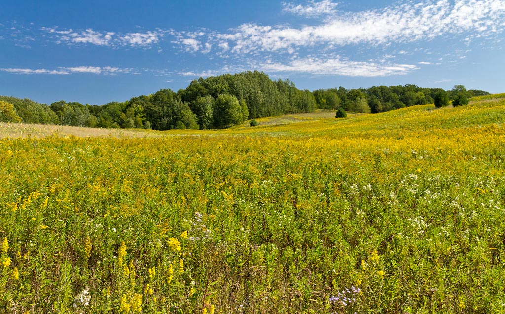 Chippewa Moraine State Recreation Area, Circle Trail Image