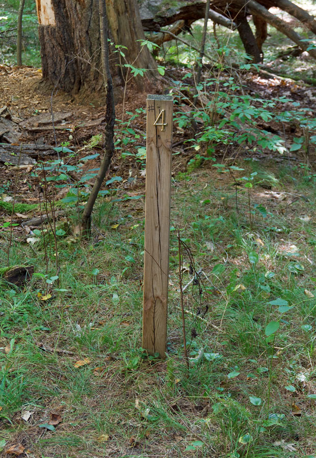 Forest Lodge Nature Trail Image
