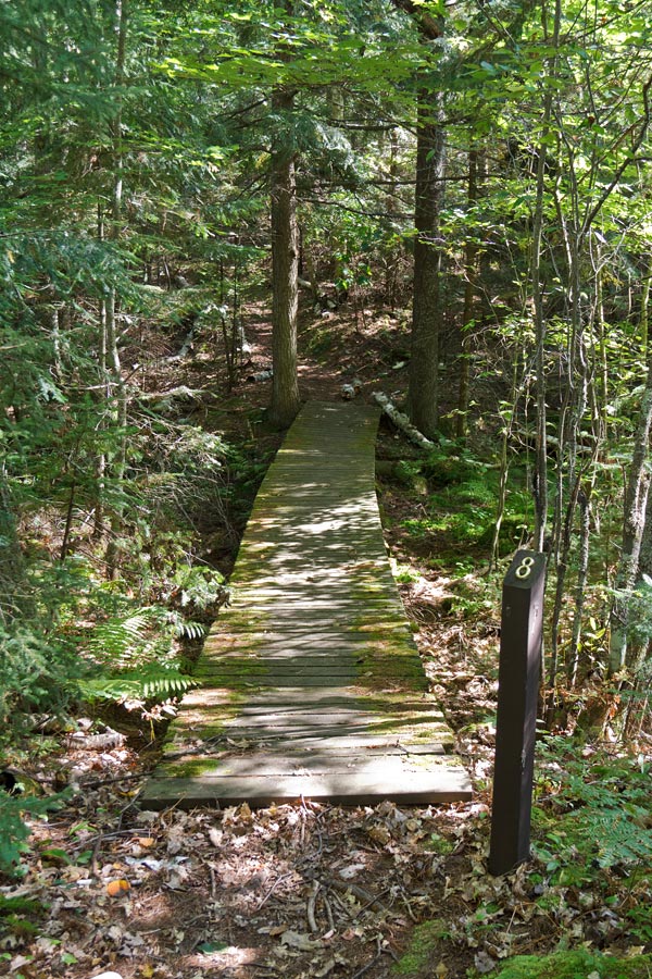 Forest Lodge Nature Trail Image