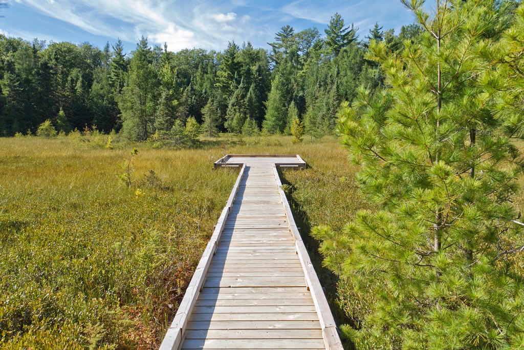 Forest Lodge Nature Trail Image