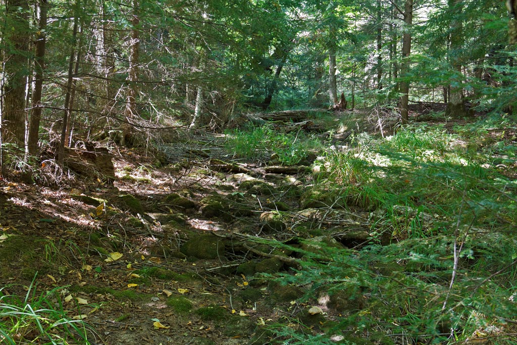 Franklin Nature Trail Image, Chequamegon-Nicolet National Forest