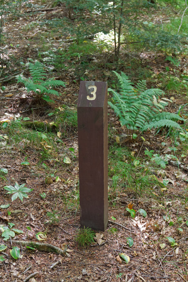 Franklin Nature Trail Image, Chequamegon-Nicolet National Forest