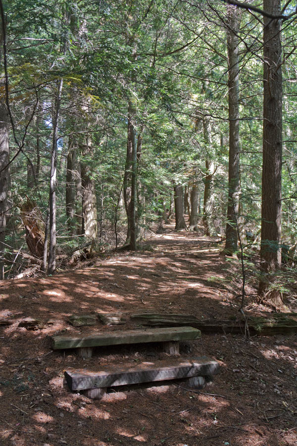 Franklin Nature Trail Image, Chequamegon-Nicolet National Forest