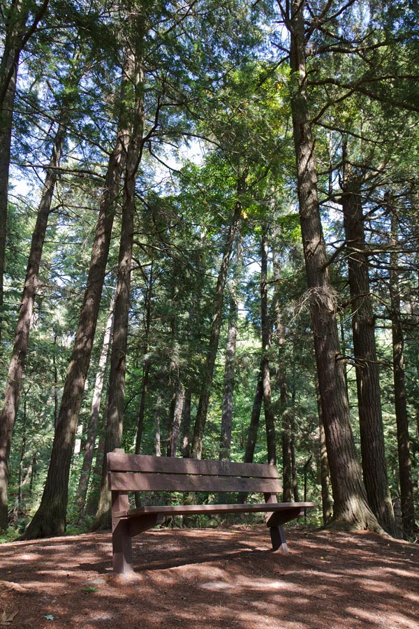 Franklin Nature Trail Image, Chequamegon-Nicolet National Forest