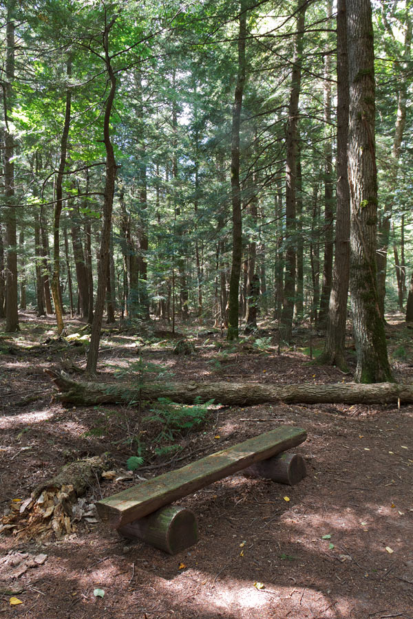 Franklin Nature Trail Image, Chequamegon-Nicolet National Forest