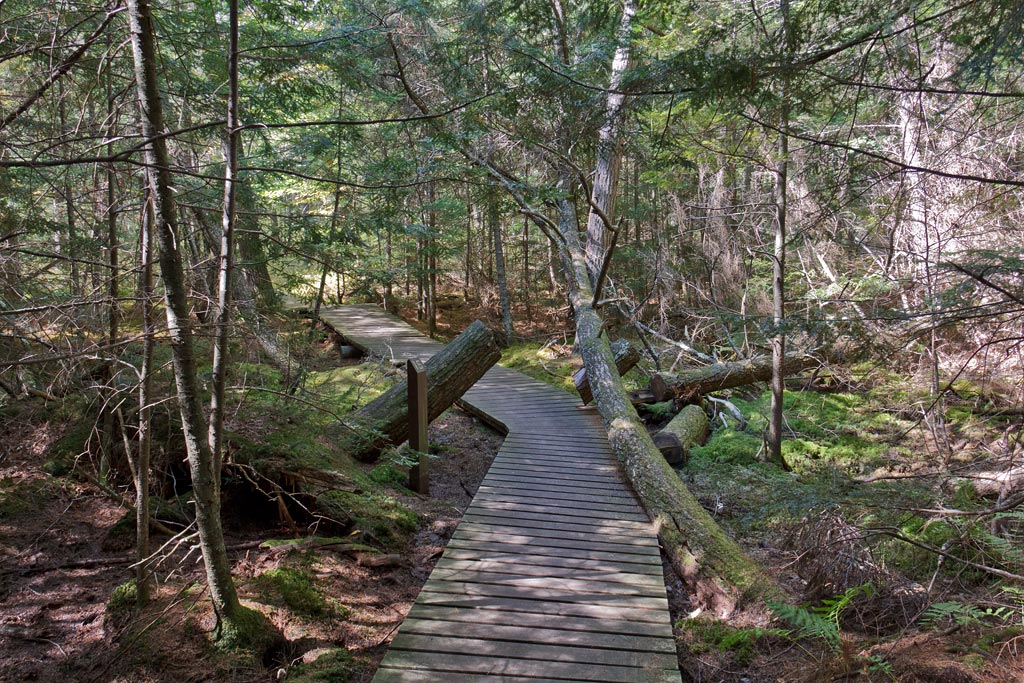 Franklin Nature Trail Image, Chequamegon-Nicolet National Forest