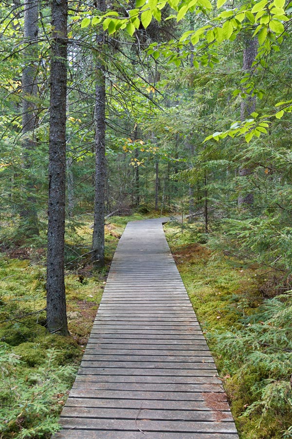 Franklin Nature Trail Image, Chequamegon-Nicolet National Forest