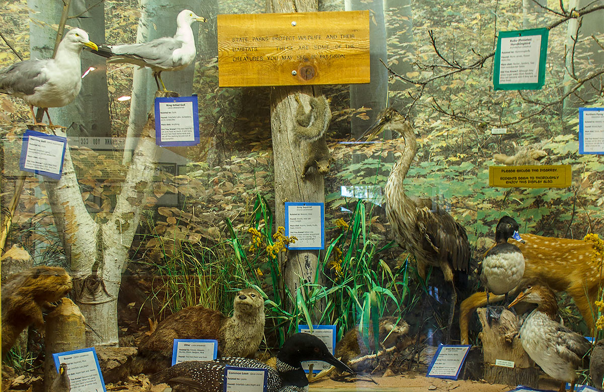 Pattison State Park Image
