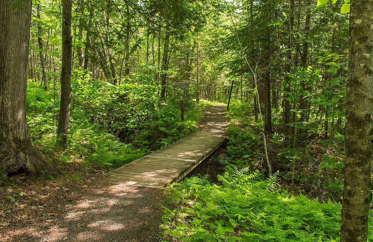 Pattison State Park Image