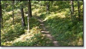 Chippewa Moraine Image