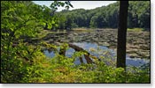 Chippewa Moraine Image