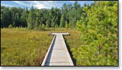 Forest Lodge Nature Trail Image