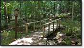 Franklin Nature Trail Image