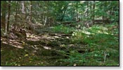 Franklin Nature Trail Image