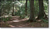 Franklin Nature Trail Image