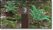 Franklin Nature Trail Image