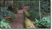 Franklin Nature Trail Image