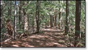 Franklin Nature Trail Image