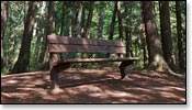 Franklin Nature Trail Image