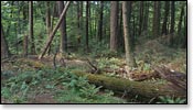 Franklin Nature Trail Image