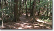 Franklin Nature Trail Image