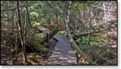 Franklin Nature Trail Image