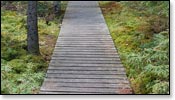 Franklin Nature Trail Image