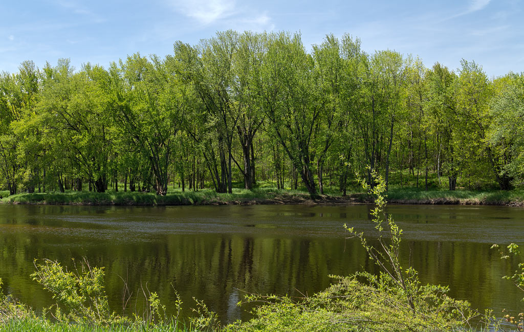 Black River paddle trail image